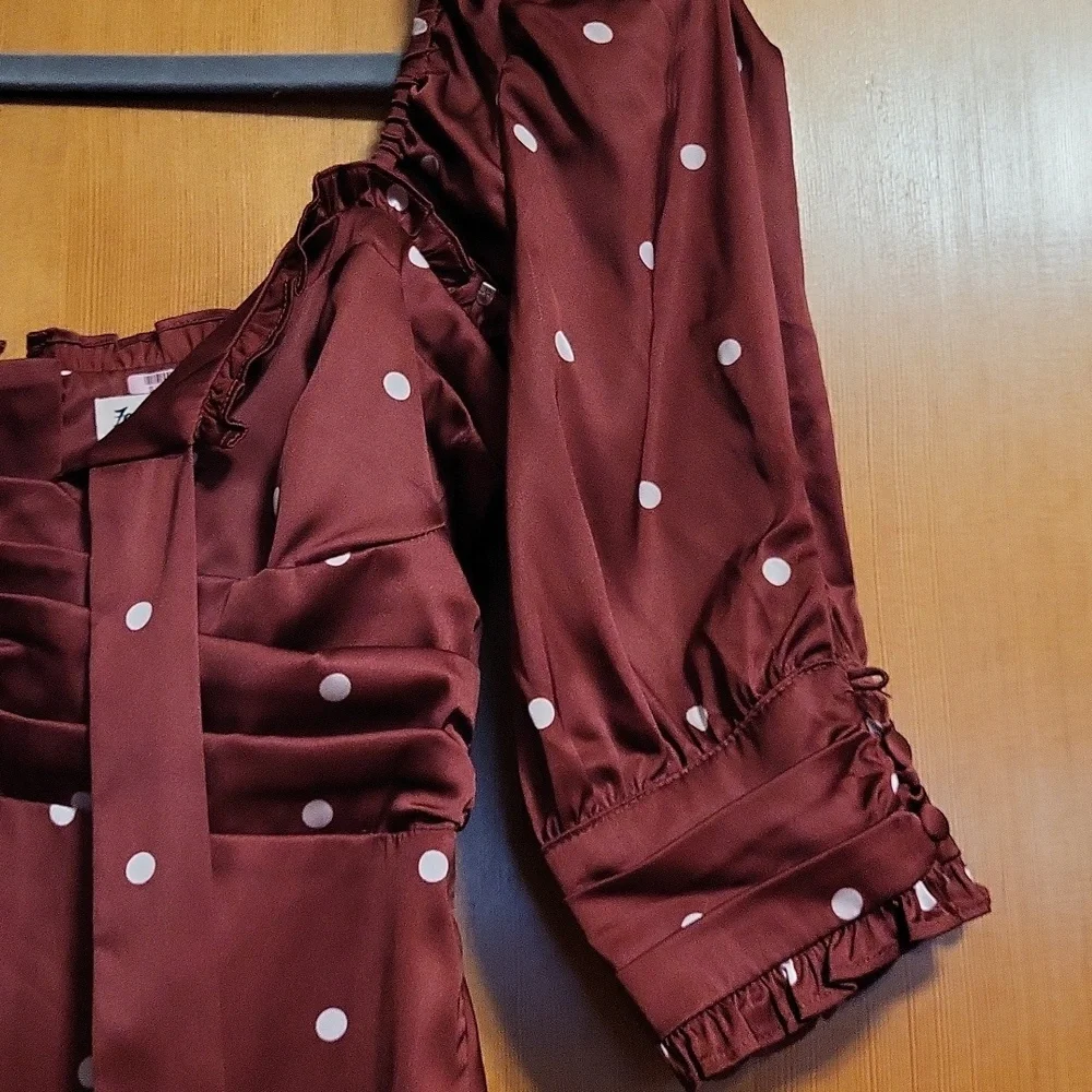 For Love And Lemons Davies Burgundy Polka Dot Swing Satin Dress - Picture 4 of 8